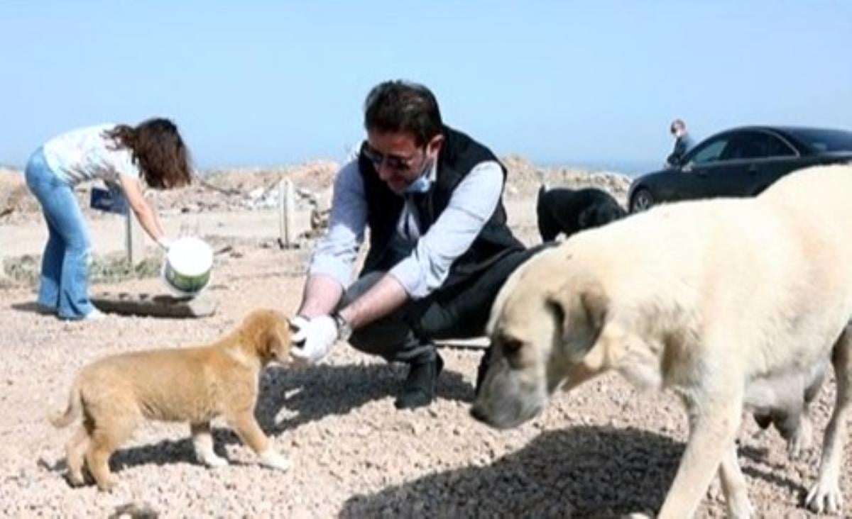 Bandırma Belediyesi hayvan barınağını genişletti
