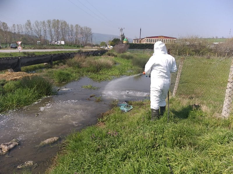 Susurluk’ta ilaçlama tüm hızıyla sürüyor