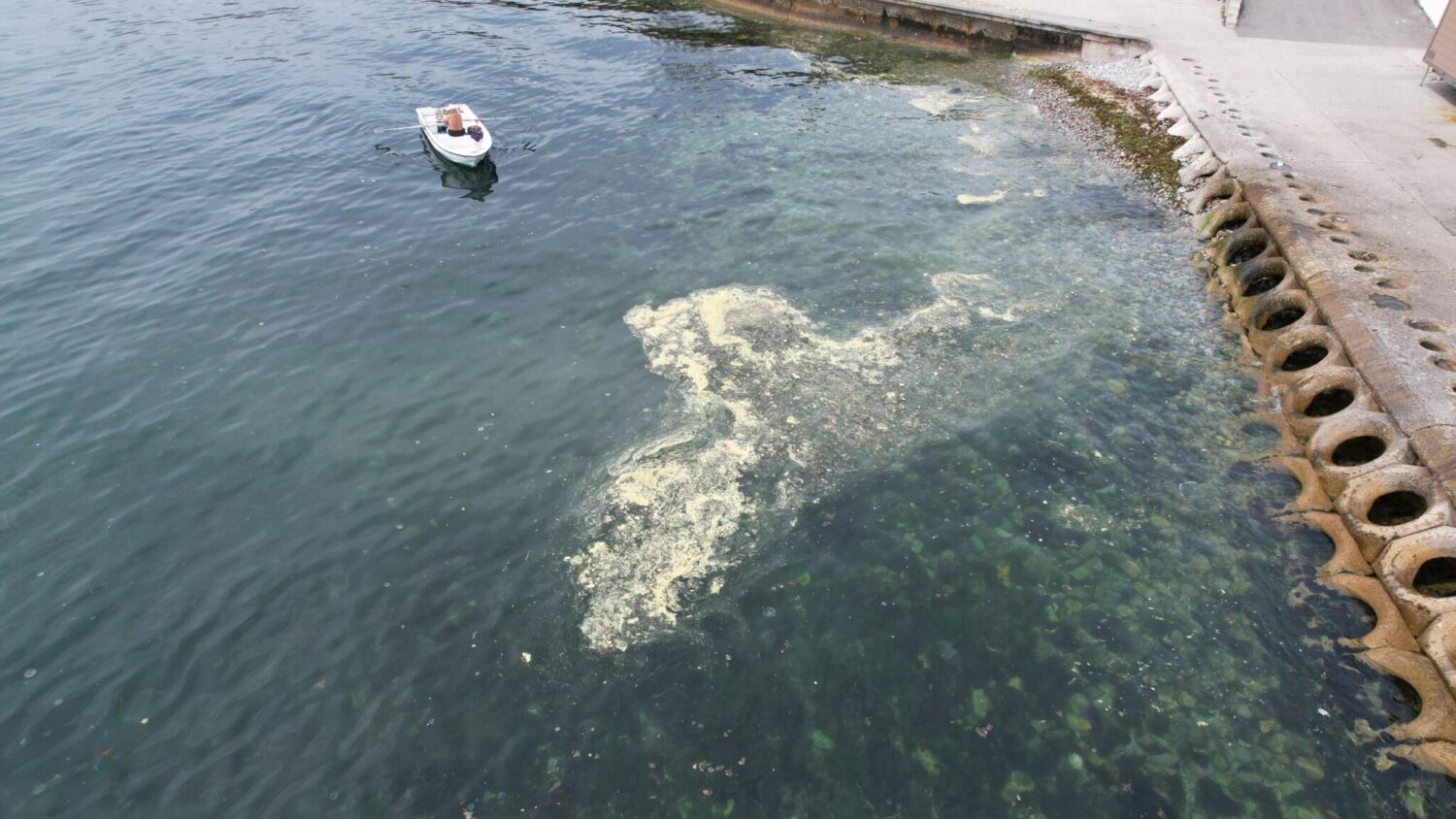Kadıköy'de Caddebostan Sahili'nde oluşan ve müsilajı andıran görüntüler dikkat çekti. Denizin kıyıya yakın kesiminde oluşan ve akıllara müsilajı getiren tabaka dronla havadan görüntülendi.