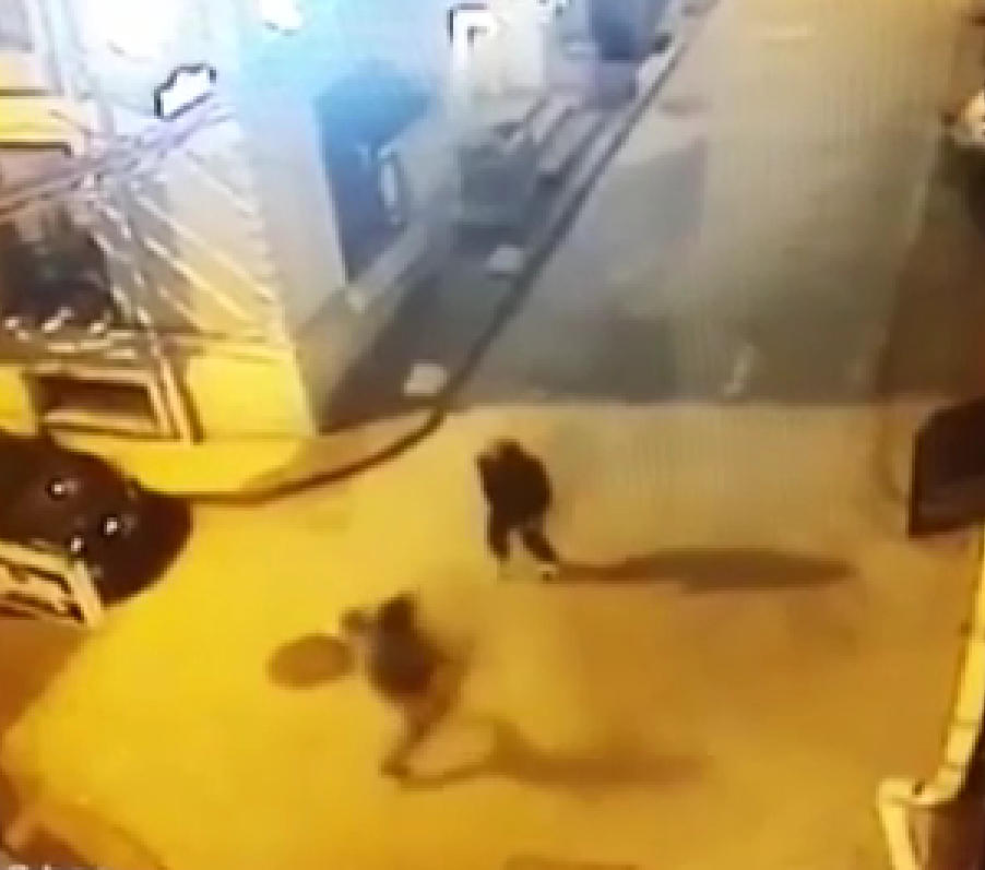 Beyoğlu’nda otoparkta beslediği köpeğine bakmaya gelen bir şahıs, babasına küfreden adamı 5 yerinden bıçaklayıp ağır yaraladı. Dehşet anları kameralara yansırken, motosikletle kaçan saldırgan Beyoğlu Asayiş Büro Amirliği polisleri tarafından olayda kullandığı bıçakla birlikte yakalandı.