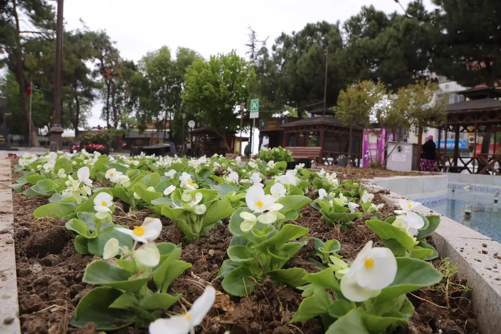 İvrindi Belediyesi Park Bahçeler Müdürlüğü ekipleri, baharın gelmesi ve havaların ısınmasıyla birlikte ilçede peyzaj çalışmalarına başladı.
