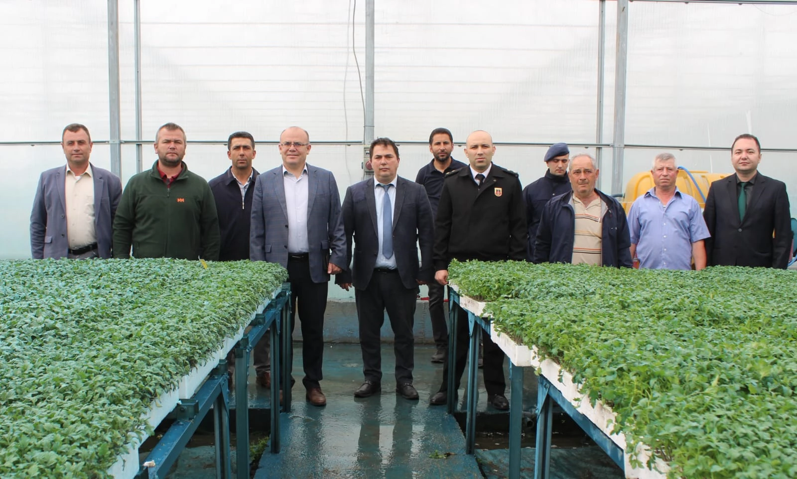 Susurluk Jalapeno biber yetiştiriciliğini arttırma çalışması kapsamında 6 mahalleye, Sosyal Yardımlaşma ve Dayanışma Vakfı (SYDV) tarafından temin edilen 10 bin adet fidan ücretsiz dağıtıldı.