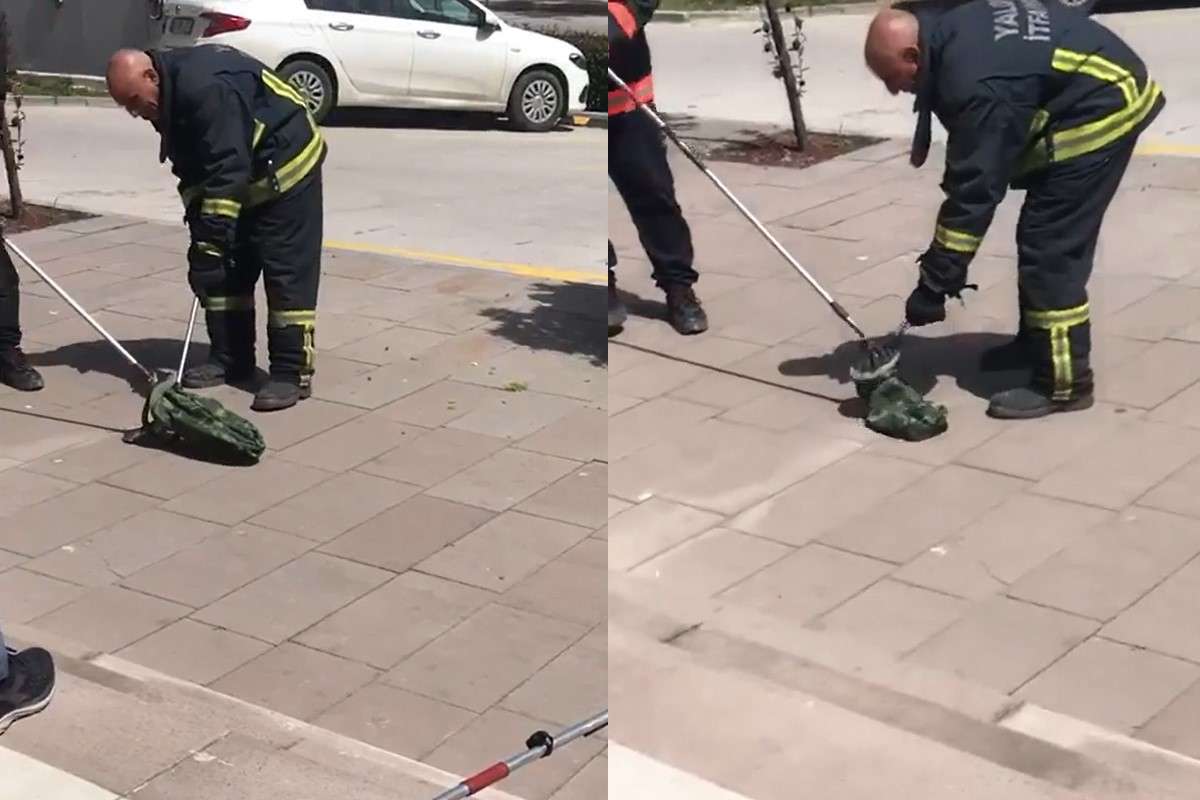 Yalova’da bir alışveriş merkezinin önünde görülen yılan paniğe neden oldu. Çıktığı ağaçta itfaiye ekiplerinin çalışmasıyla yakalandı.