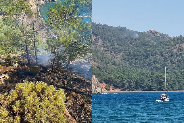Muğla'nın Fethiye ilçesinde yıldırım düşmesi sonucu çıkan orman yangını büyümeden söndürüldü.