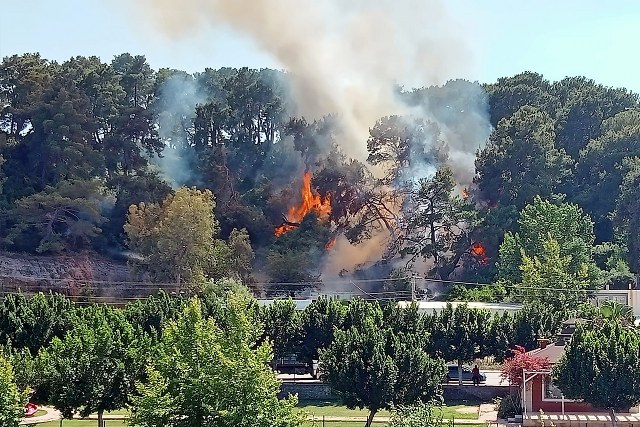 Antalya'nın Aksu ilçesinde ev olarak kullanılan konteynerdeki yangın ormana sıçradı. Yangının büyümeden kontrol altına alındı. 