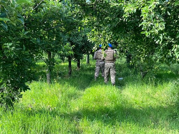 Sakarya’da meyve hırsızlıklarını önlemek amacıyla jandarma komando timleri bahçe ve yollarda asayiş devriyesi gerçekleştiriyor.