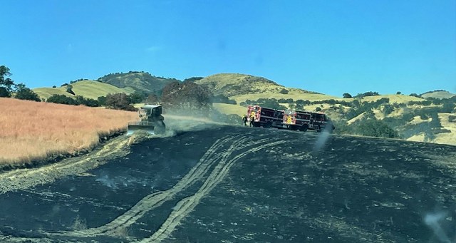 Dünya genelinde etkili olan aşırı sıcaklar nedeniyle birçok ülkede orman yangını başladı. ABD’nin California eyaletinde 4 farklı noktada çıkan yangında en az 3 bin 400 hektar alan küle döndü.