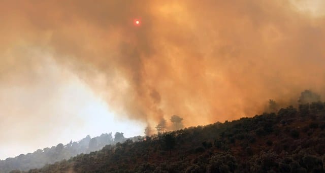 Milas-Bodrum karayolu kavşağında 14 Temmuz’da başlayan orman yangınının, bir şahsın aracı ile giderken ormanlık alana attığı torpille başladığı ortaya çıktı.
