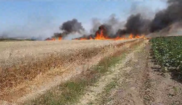Keşan ilçesine bağlı Yenice çiftlik köyünde bulunan bir buğday tarlasında çıkan yangın, yaklaşık 80 dönümlük alanda zarara yol açtı.