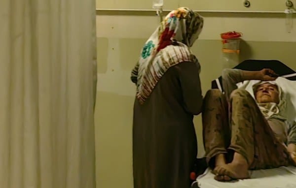 Bursa'nın İnegöl ilçesine bağlı kırsal Küçük Yenice Mahallesi'nde yaşanan olayda, çilek toplarken yılan tarafından ısırılan bir kadın, hemen hastaneye kaldırıldı.