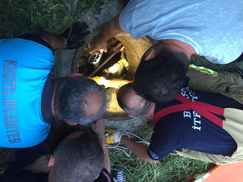 Bursa'nın Kestel ilçesinde meydana gelen olayda, bir köpek kuyuya düştü. İtfaiye ekipleri, yoğun bir çaba harcayarak köpeği kurtarmayı başardı. Çalışmalar yaklaşık 1 saat sürdü ve sonunda köpek güvenli bir şekilde kurtarıldı.