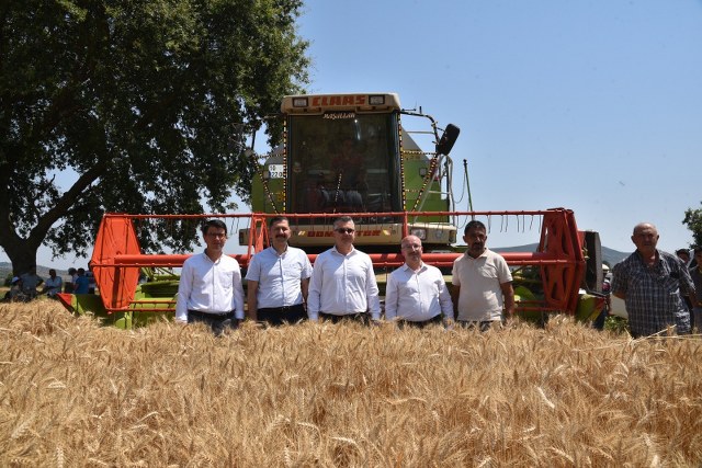 Balıkesir İl Tarım Müdürlüğünce yürütülen demonstrasyon çalışmaları dahilinde Sındırgı ilçesinde ekimi yapılan yerli ve milli çeşitlerin hasadı gerçekleştirildi. Yerli tohum ile verimdeki artış da çiftçinin yüzünü güldürdü.