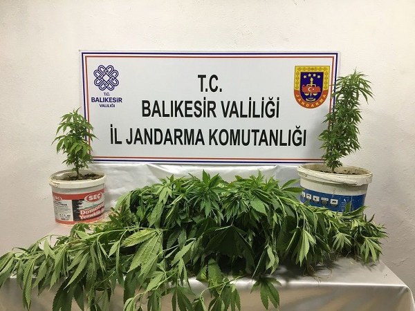 Bandırma ilçesinde gerçekleştirilen istihbari çalışmalar sonucunda uyuşturucu madde imal ve ticaretine karıştığı tespit edilen 3 kişi gözaltına alındı.