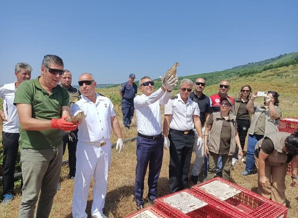 Balıkesir'in Erdek ilçesinde, Milli Parklar tarafından düzenlenen etkinlik kapsamında doğal hayatı canlandırmak amacıyla ormanlık alanlara 350 adet sülün ve keklik salındı.