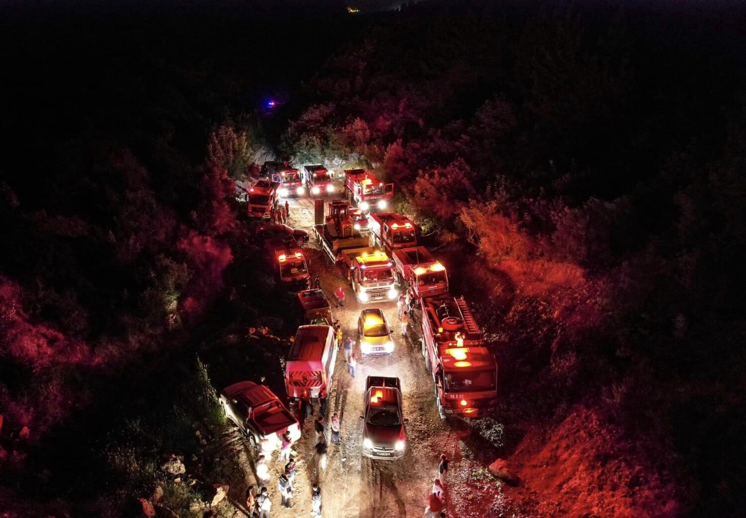 Bilecik'te dün gece aynı anda 6 noktada başlayan orman yangını kontrol altına alınırken  yetkililer sabotaj ihtimalinin  üzerinde duruyor.