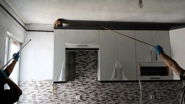 Bursa'da gerçekleşen olayda, bir evin mutfağına sızan yavru maymun, etkileyici bir operasyonla yakalandı.