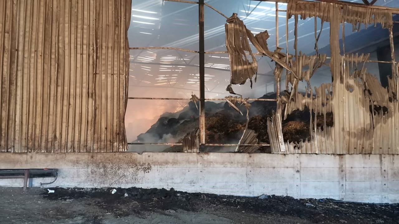 Balıkesir'in Gönen ilçesinde büyükbaş hayvan çiftliğinde bilinmeyen bir sebeple alev alan saman balyalarından çıkan yangın hala kontrol altına alınamadı.