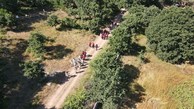 Balıkesir’in Gönen ilçesinde 15 gün önce köpeğiyle birlikte yürüyüşe çıktıktan sonra kaybolan Korhan Berzeg’i (83) arama çalışmaları ormanlık bölgede devam ederken merkez mahallede yapılan çalışmalarda bir kişi Korhan Berzeg’i gördüğünü iddia etti.