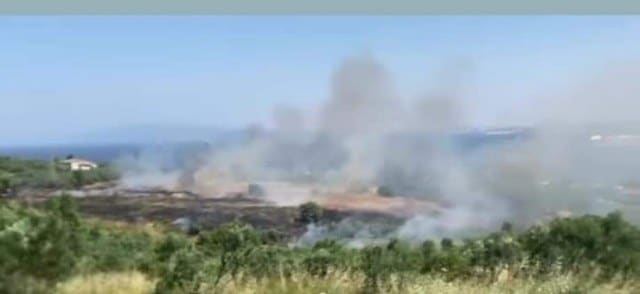 Balıkesir'in Erdek ilçesi Tatlısu Hamamlı arasında çıkan yangın korkuttu. Rüzgarın etkisiyle hızla yayılan yangına havadan ve karadan müdahale edildi.
