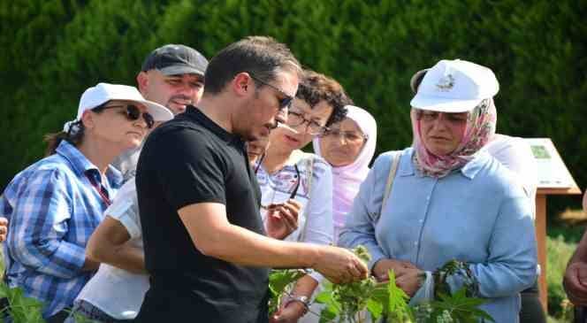 Balıkesir Büyükşehir Belediyesine ait Balıkesir Çiftçi Eğitim Merkezinde (BAÇEM) düzenlenen uygulamalı Bahçıvanlık Kursu kadınlardan büyük ilgi gördü.