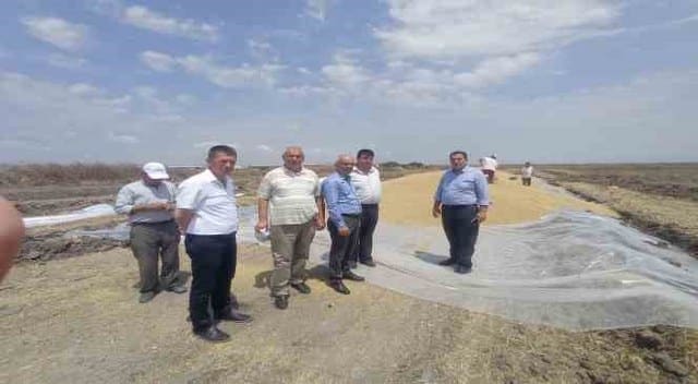 TMO hububat alım merkezinin açılışına Toprak Mahsulleri Ofisi Bölge Müdürü Salih Aksu, İlçe Tarım ve Orman Müdürü Erdal Ok, Ziraat Odası Başkanı Kudret Özden ve yönetim kurulu üyeleri ile çiftçiler katıldılar.
