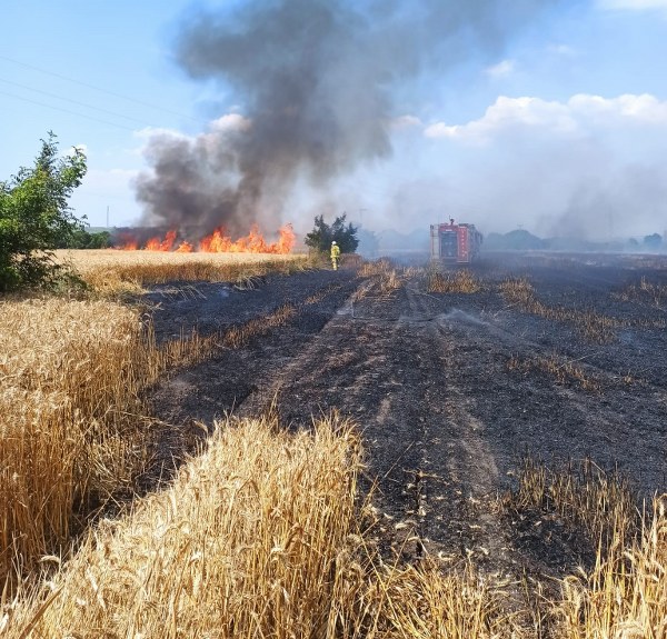 Susurluk’un Balıklıdere Mahallesi’nde 5 şahsa ait buğday ekili tarlada çıkan yangın, ekipler tarafından zorlukla kontrol altına alınırken, feci olay toplam 75 dönüm buğday tarlasını küle çevirdi.