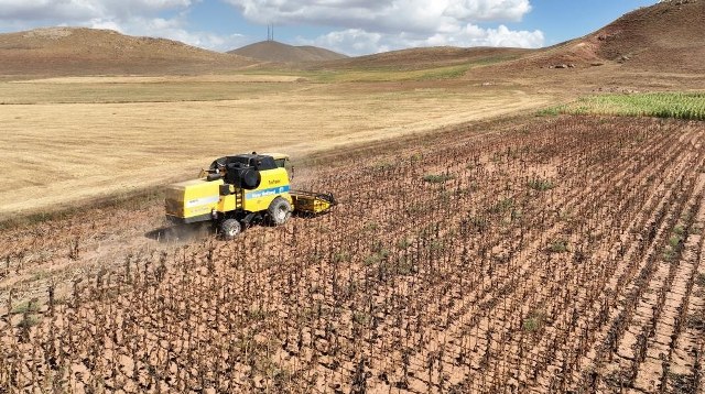 Tarımsal girdi fiyat endeksi (Tarım-GFE) yıllık yüzde 27,70 oranında, aylık yüzde 3,46 oranında artış gösterdi. Bir önceki y