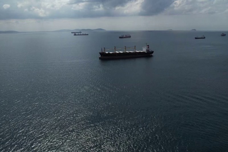 Ukrayna'ya doğru seyreden Palau bandıralı Şükrü Okan İsimli kuru yük gemisine Rus Savunma Bakanlığı tarafından helikopterli denetim gerçekleşti. 