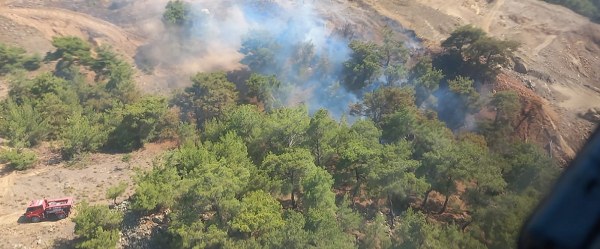 Balıkesir'in Burhaniye ilçesinde bir ormanlık alanda yangın başladı. Yangına hem havadan hem de karadan müdahale ediliyor.