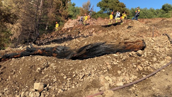 Balıkesir'in Burhaniye ilçesinde meydana gelen orman yangını,  havadan ve karadan müdahale sayesinde etkili bir şekilde kontrol altına alınarak başarılı bir şekilde söndürüldü.