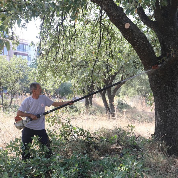 AĞAÇLARA ÖZEL KORUMA