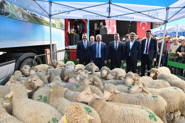 Tarımın verimli ovaları ve mükemmel iklim koşullarıyla yoğrulmuş beşiği Balıkesir'de, üretim alanında destek sunan Büyükşehir Belediyesi, katma değeri yüksek ürünlerin üretimini teşvik ederek üreticilerin gücünü artırıyor. Türkiye'yi kuzusuyla, balıyla, meyvesiyle ve sebzesiyle besleyen Balıkesir'de, Büyükşehir Belediyesi üreticilerin her türlü ihtiyacına yönelik kesintisiz destek sunmaya devam ediyor.