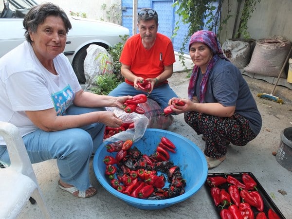 Ağustos ayının sonlarına yaklaşırken, Balıkesir'in Burhaniye ilçesinde kış aylarına yönelik gıda hazırlıkları başladı. Burhaniye'de kışlık yiyeceklerin hazırlanması sürecinde imece geleneği de geleneksel olarak sürdürülüyor.