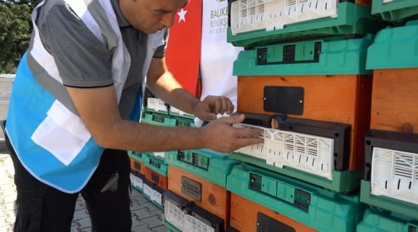 Balıkesir Büyükşehir Belediyesi, arıcılarla birlikte çalışarak Balıkesir Balı'nı marka bir ürün haline getirme yolunda önemli adımlar atıyor. Şimdi ise Türkiye'ye örnek olacak yepyeni ve sürdürülebilir bir projeyi daha hayata geçiriyor. Belediye, ömrünü tamamlamış, kurumuş ve budanan ağaçları kovanlara dönüştürerek kadın üreticilere ve arıcılığa yeni başlayanlara ücretsiz olarak dağıtacak.