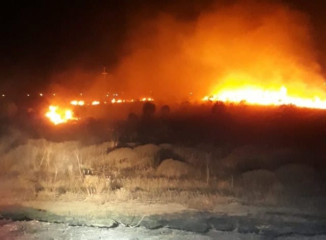 Balıkesir'in Bandırma ilçesinde hayvan barınağının arkasında yer alan ormanlık alanda park halindeki araç yanmaya başladı. Ağaçlara sıçramasıyla büyüyen yangın 3 saatte söndürüldü. 