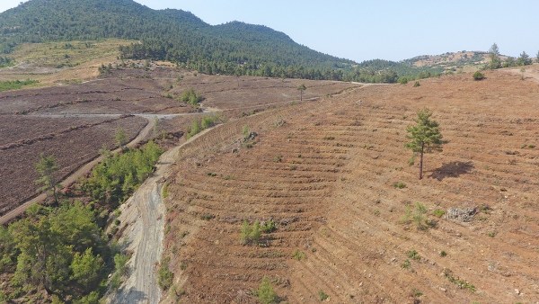 Balıkesir Orman Bölge Müdürlüğü, geçmişte vatandaşların yoğun kullanımı nedeniyle antropojen etkilerle zarar gören orman alanlarını tekrar verimli hale getirmek amacıyla ağaçlandırma çalışmalarına devam ediyor.
