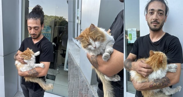 Beyoğlu Kabataş'ta, geçtiğimiz Cuma günü saat 23.00 sıralarında, yürüyüş yapan 24 yaşındaki Özcan Akkaya, ATM önünde "Portakal" adlı kediye tekme at
