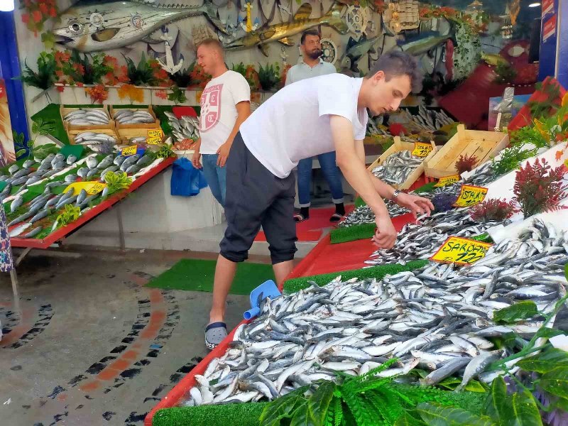 Balıkçı esnafı dün itibari ile av yasağının sona ermesi ile yeni sezonda “Hamsi bolluğu görülebilir” ifadelerini kullandı. 