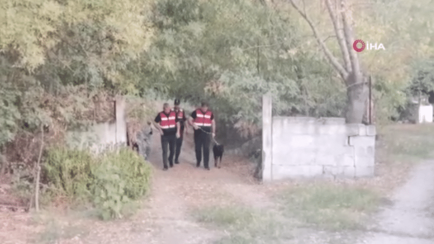 Balıkesir’in Gönen ilçesinde Ekonomist Korhan Berzeg ile birlikte yürüyüşe gittikten sonra kaybolan ve 74 gün sonra kendi başına geri dönen köpek Tina, jandarma ve arama kurtarma ekipleri ile birlikte sahibi Berzeg’i arıyor.