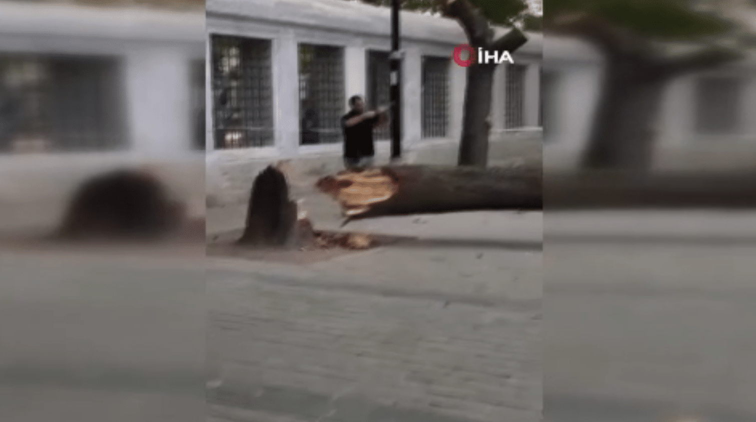 Sultanahmet Meydanı, İstanbul'un en yoğun bölgelerinden birinde meydana gelen ağaç devrilme olayı, büyük bir korkuya sebep oldu. Olayda yaklaşık 10 kişinin hafif sıyrıklarla yaralandığı belirtildi.