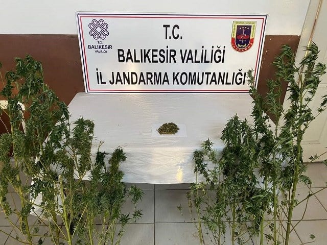 Balıkesir'in Erdek ilçesinde bir eve operasyon düzenlendi. Operasyonda 20 kök kenevir bitkisi ve 15 gram kubar esrar bulundu. 