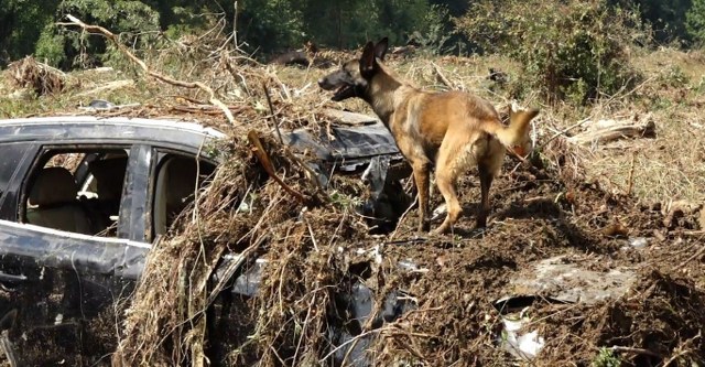 Kırklareli’nde meydana gelen sel felaketinde kayıp vatandaşları arama çalışmaları sürüyor.