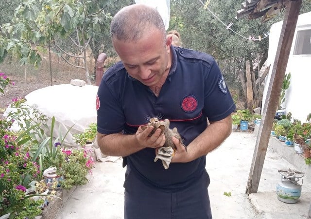 Manyas’ın Salur Mahallesi'nde yavru kedi 14 metre derinliğindeki kuyuya düştü. Düşen kedi yavrusu itfaiye tarafından kurtarılarak sahibine verildi