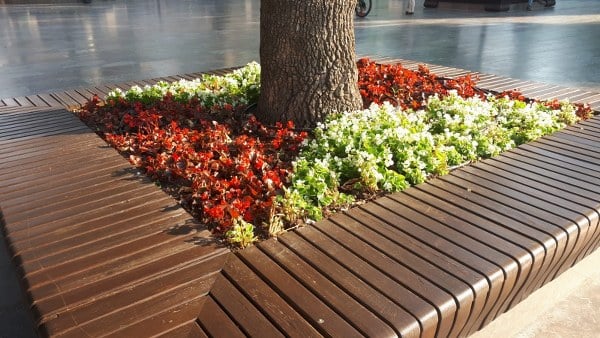 Prof. Satıl’dan park bahçelerdeki ağaçlar için önemli uyarı