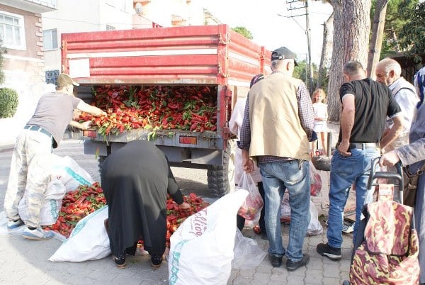 Manyas ilçesinde fabrikanın ucuz fiyat vermesinin ardından ürününü römork kasasında sattı. Piyasada 20 TL'den satılan kapya biber 10 TL'ye satışa sunulunca kapış kapış satıldı.