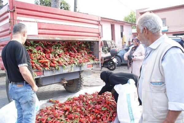Manyas ilçesinde fabrikanın ucuz fiyat vermesinin ardından ürününü römork kasasında sattı. Piyasada 20 TL'den satılan kapya biber 10 TL'ye satışa sunulunca kapış kapış satıldı.