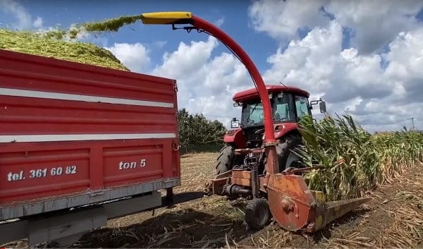 Balıkesir'in Manyas ilçesinde, 2023 yılı tarım sezonu başladı. İlçede, bu yıl 400 bin dekar alanda tarım yapılması bekleniyor.