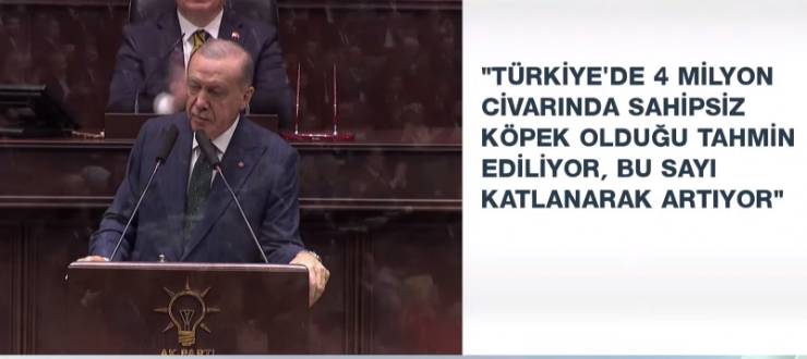 Cumhurbaşkanı Erdoğan, sokak köpekleri, sahipsiz köpekler, bakım evleri, sahiplendirme, hayvan severler, sokak hayvanları düzenlemesi.