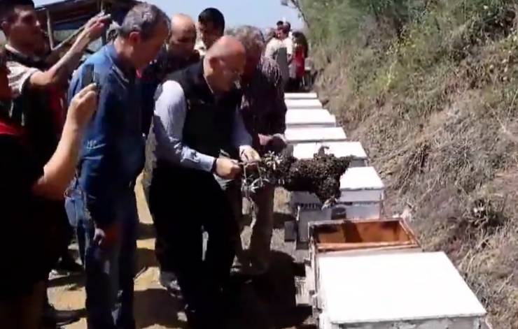 Susurluk, arıcılık projesi, arı kovanı, Balıkesir, bal üretimi, Sosyal Yardımlaşma Vakfı, Endüstri Meslek Lisesi