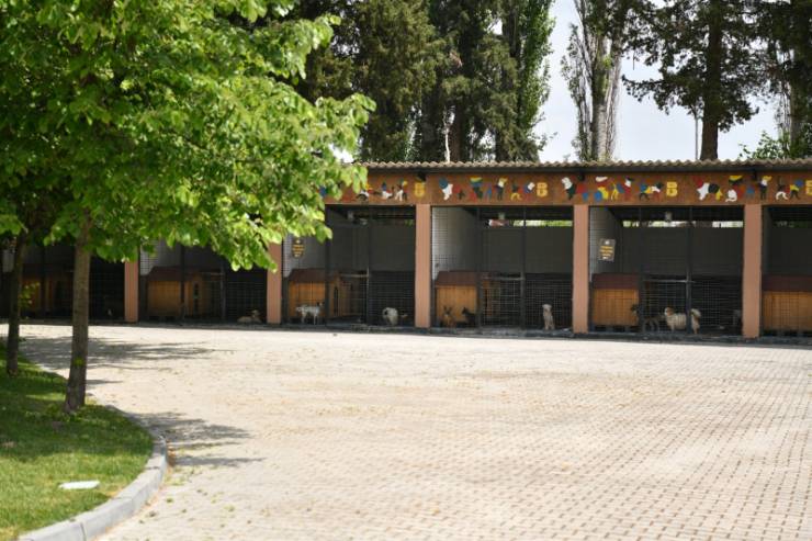 VETBÜS, Balıkesir Büyükşehir Belediyesi, hayvan sahiplendirme, sokak hayvanları, Arbil Akın, Balıkesir Hayvan Koruma Derneği, hayvan dostu projeler, Ovaköy Sokak Hayvanları Geçici Bakımevi.